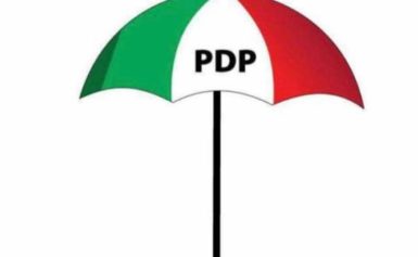 PDP to pick presidential candidate from South
