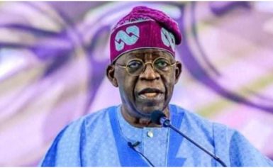 Ex-MPPP National Chairman makes case for Tinubu