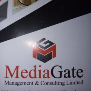 MEDIAGATE MANAGEMENT AND CONSULTING: A MEDIA COMPANY DELIVERING CREATIVE CAMPAIGNS FOR PUBLIC, PRIVATE AND THIRD SECTOR CLIENTS