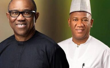 PDP Lawmaker: Exit of Obi, Kwankwaso to NDC Hands Tinubu ‘Clear Coast’ to 2027