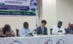 NIGERIA CAN GET MORE FROM 5,000MW THROUGH ENERGY EFFICIENCY — ECN