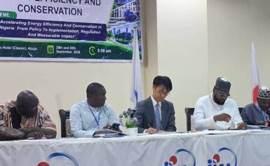 NIGERIA CAN GET MORE FROM 5,000MW THROUGH ENERGY EFFICIENCY — ECN