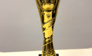 Julius Berger wins Reputation and Influence Award