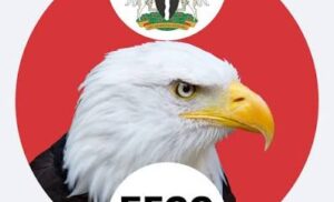 PRESIDENT TINUBU HAILS EFCC AS FBI COMMENDS NIGERIA’S ROLE IN INTERNATIONAL SEXTORTION CRACKDOWN